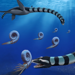 Giant 85 million-year-old mystery sea monster fossil finally identified