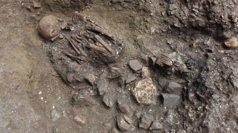 Newly discovered ‘ghost’ lineage linked to ancient mystery population in Tibet, DNA study finds