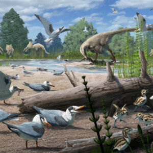 73-Million-Year-Old Fossils Provide Oldest Evidence of Birds Nesting at Polar Latitudes
