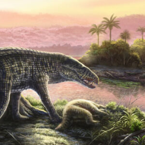 6-Million-Year-Old Fossils of Terrestrial Apex Predator Discovered in Dominican Republic