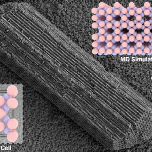 Scientists Discover New Type of Crystal