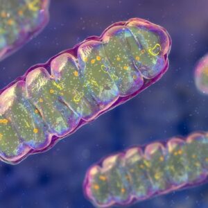 Scientists just discovered a single molecule that may treat rare, devastating mitochondrial diseases