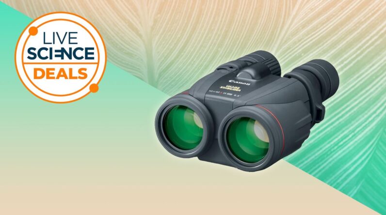 Celebrate Bird Day this Sunday: Huge discount on Canon binoculars we call ‘game-changing’ for bird-watching