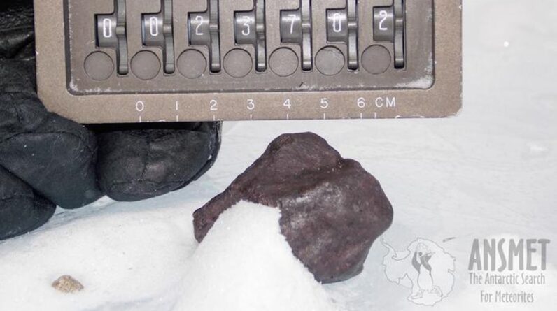 Earth may not have gotten its water how we thought, controversial meteorite study suggests