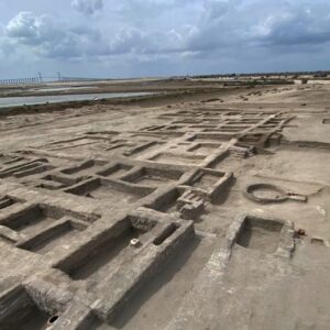 Archaeologists unearth tree-lined walkway that led to ancient Egyptian fortress in Sinai Desert