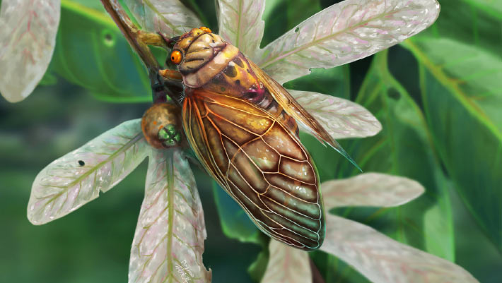 New Species of Fossil Singing Cicada Found in Germany