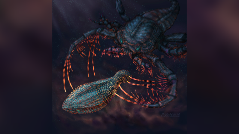 Our teeth evolved from fish ‘body armor’ over 460 million years, scientists discover