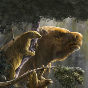 New Research Sheds Light on Emergence and Demise of Giant Sloths