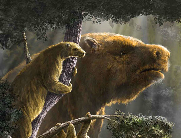 New Research Sheds Light on Emergence and Demise of Giant Sloths