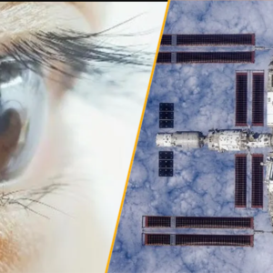 Science news this week: ‘Super-vision’ contact lenses and bacteria in space