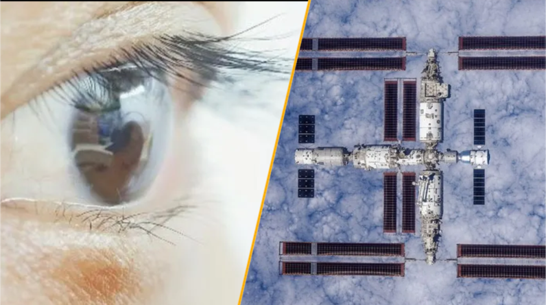 Science news this week: ‘Super-vision’ contact lenses and bacteria in space