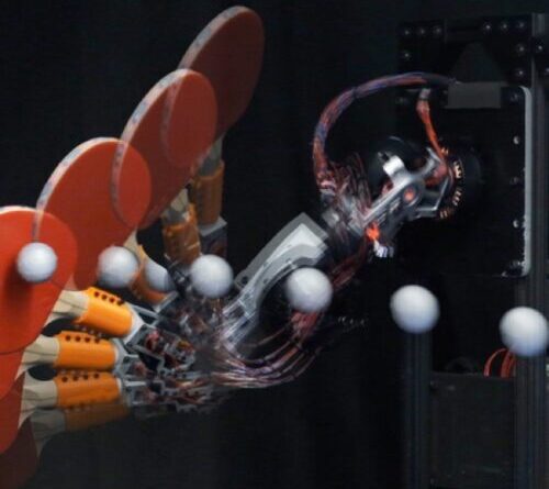 Research roundup: 7 stories we almost missed