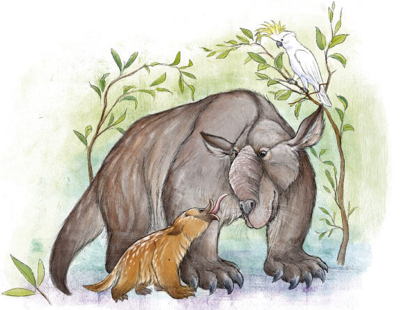 Paleontologists Find New Biomarkers to Identify Megafauna Species in Australia’s Fossil Record