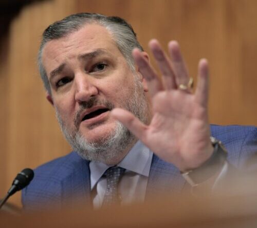Ted Cruz bill: States that regulate AI will be cut out of $42B broadband fund