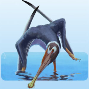 New Pterosaur Species Unearthed in Germany