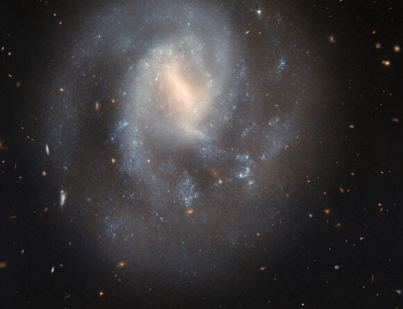 Hubble Looks at Stunning Barred Spiral Galaxy: IC 758