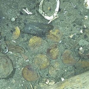 Gold coins from ‘world’s richest shipwreck’ reveal 300-year-old depictions of castles, lions and Jerusalem crosses