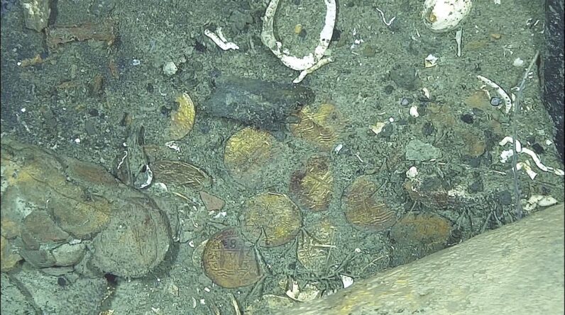 Gold coins from ‘world’s richest shipwreck’ reveal 300-year-old depictions of castles, lions and Jerusalem crosses