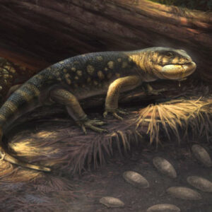 Armored, Large-Bodied Lizards Lived alongside Dinosaurs in Cretaceous North America