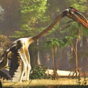Warm and Humid Climate Conditions Set Stage for Pterosaurs to Take to Skies 220 Million Years Ago