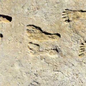 Human Footprints at White Sands Are Up To 22,400 Years Old: Study