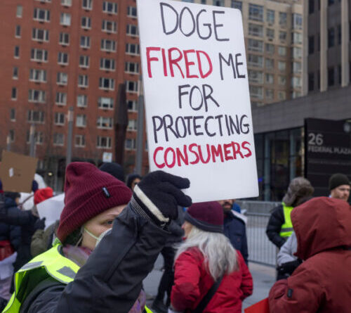 Is DOGE doomed to fail? Some experts are ready to call it.