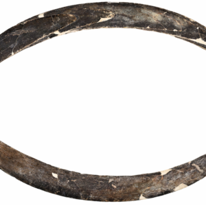 40,000-year-old mammoth tusk boomerang is oldest in Europe — and possibly the world