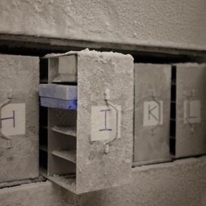 ‘It is our obligation to future generations’: Scientists want thousands of human poop samples for microbe ‘doomsday vault’