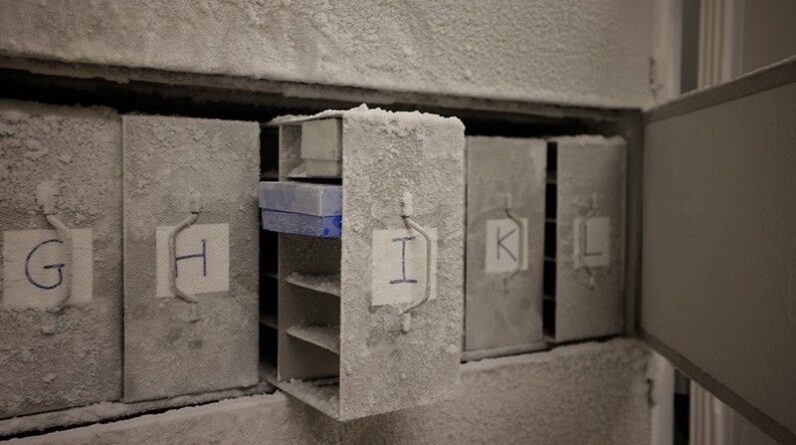 ‘It is our obligation to future generations’: Scientists want thousands of human poop samples for microbe ‘doomsday vault’