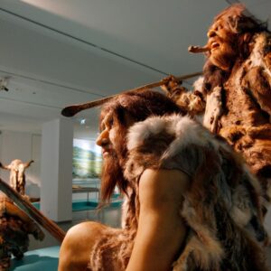 125,000-year-old ‘fat factory’ run by Neanderthals discovered in Germany