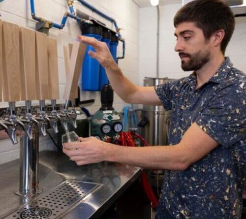 Rice could be key to brewing better non-alcoholic beer