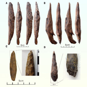 300,000-Year-Old Wooden Tools Discovered in China