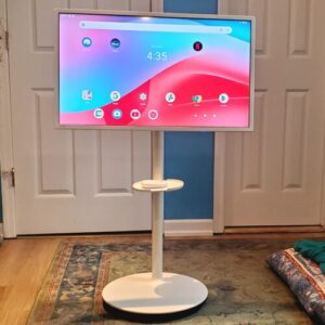 The curious rise of giant tablets on wheels