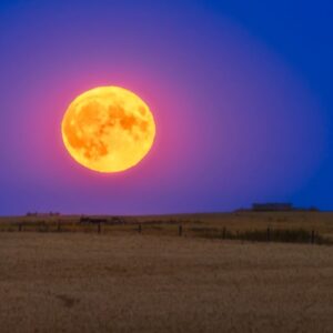Buck Moon 2025: How to spot the year’s farthest full moon from the sun