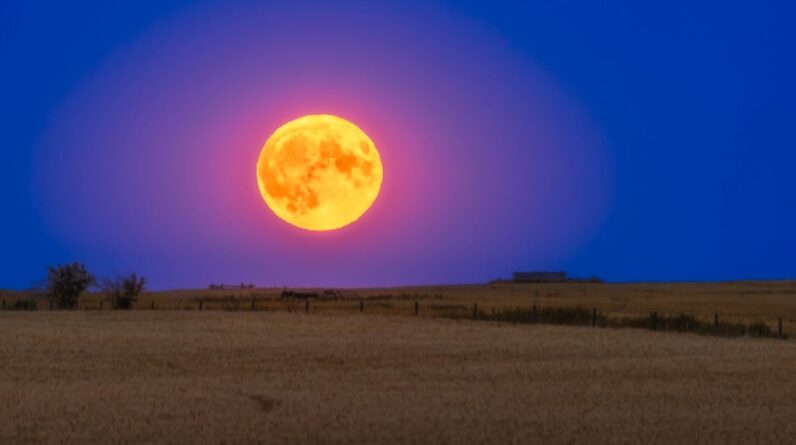 Buck Moon 2025: How to spot the year’s farthest full moon from the sun