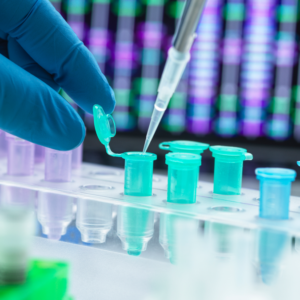 How is DNA used to identify victims of mass disasters?