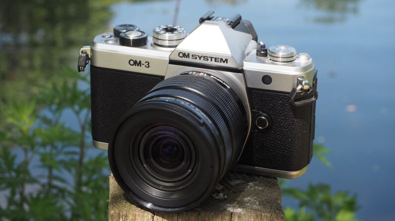 OM System OM-3 review โ a camera for wildlife and astrophotographers alike?