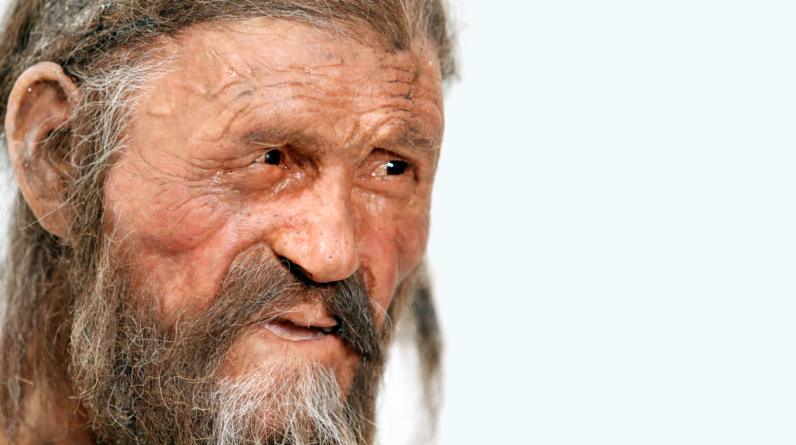 Ötzi the Iceman and his neighbors had totally different ancestries, ancient DNA study finds