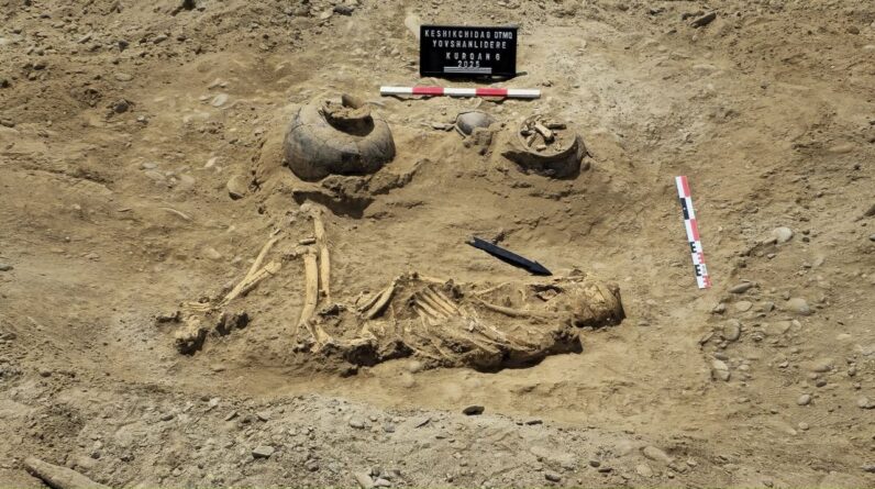 3,800-year-old burial of tall warrior buried with 4-pronged spearhead unearthed in Azerbaijan