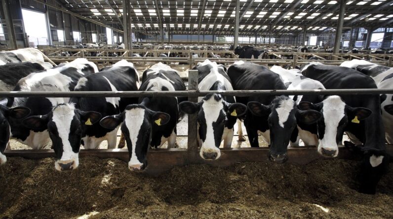 New report details one of the biggest raw milk-related outbreaks in recent US history