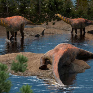 95-Million-Year-Old Plant-Eating Dinosaur Discovered in Argentina