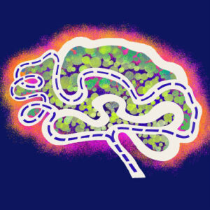 Memories Drift across Neurons over Time, Animal Study Suggests