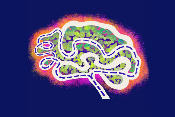Memories Drift across Neurons over Time, Animal Study Suggests