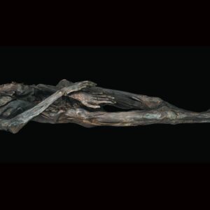 2,300-year-old arm tats on mummified woman reveal new insights about tattooing technique in ancient Siberia