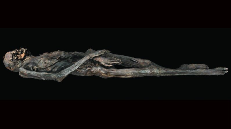 2,300-year-old arm tats on mummified woman reveal new insights about tattooing technique in ancient Siberia