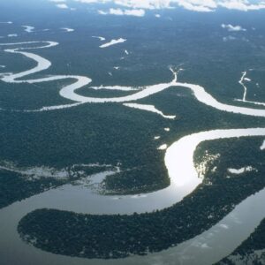 Even a slight slowdown of key Atlantic currents poses a ‘stunning risk’ to rainforests