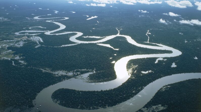 Even a slight slowdown of key Atlantic currents poses a ‘stunning risk’ to rainforests