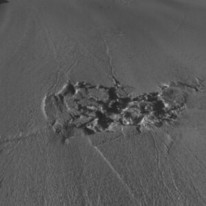 ‘It was so unexpected’: 90 billion liters of meltwater punched its way through Greenland ice sheet in never-before-seen melting event