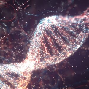 Ancient viruses embedded in our DNA help switch genes on and off, study finds