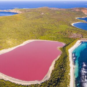 Australia’s pink lakes: The remnants of ancient rivers now teeming with microbes that make rosy pigments